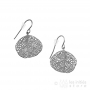 exotic leaf earrings silver