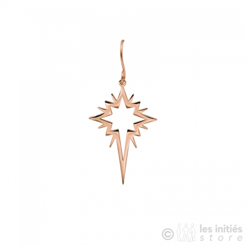 rose gold star earrings